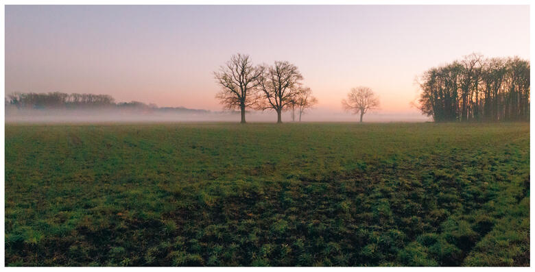 A foggy landscape at sunset. The foreground is short grass on a field. In the middle distance, there are trees and small patches of woods, growing paler the further away they are as the evening fog swallows them. The sky is all soft pastels.