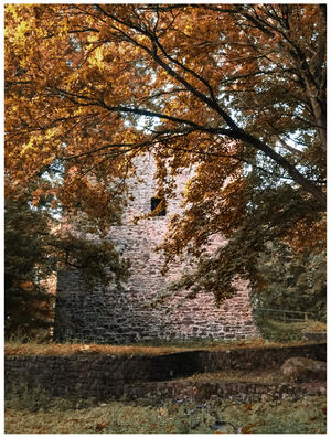 A photograph of a castle tower ruin during golden hour. The ruin is softly lit and half-hidden behind a tree with yellowed leaves.