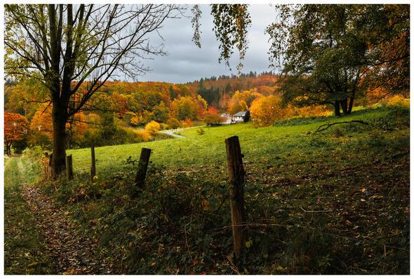 A photograph of a forested hillside in autumn, shot from a dirt road. There is a wood-and-wire fence in the foreground. The middle ground has a road leading downhill from a single bright house. Behind that, it's trees in oranges and deep greens set against