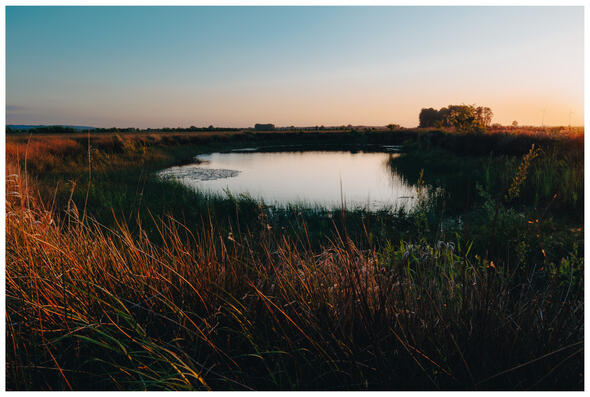 A photograph of a pond at sunset.
