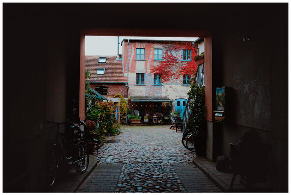 A photograph of an overgrown, colourfully painted building seen through a driveway.