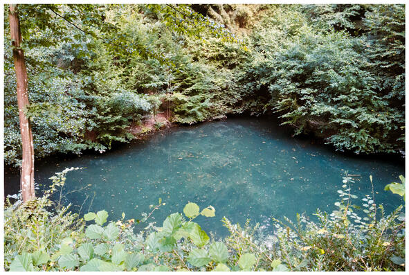 A photograph of a turquoise-y green pond in the woods.